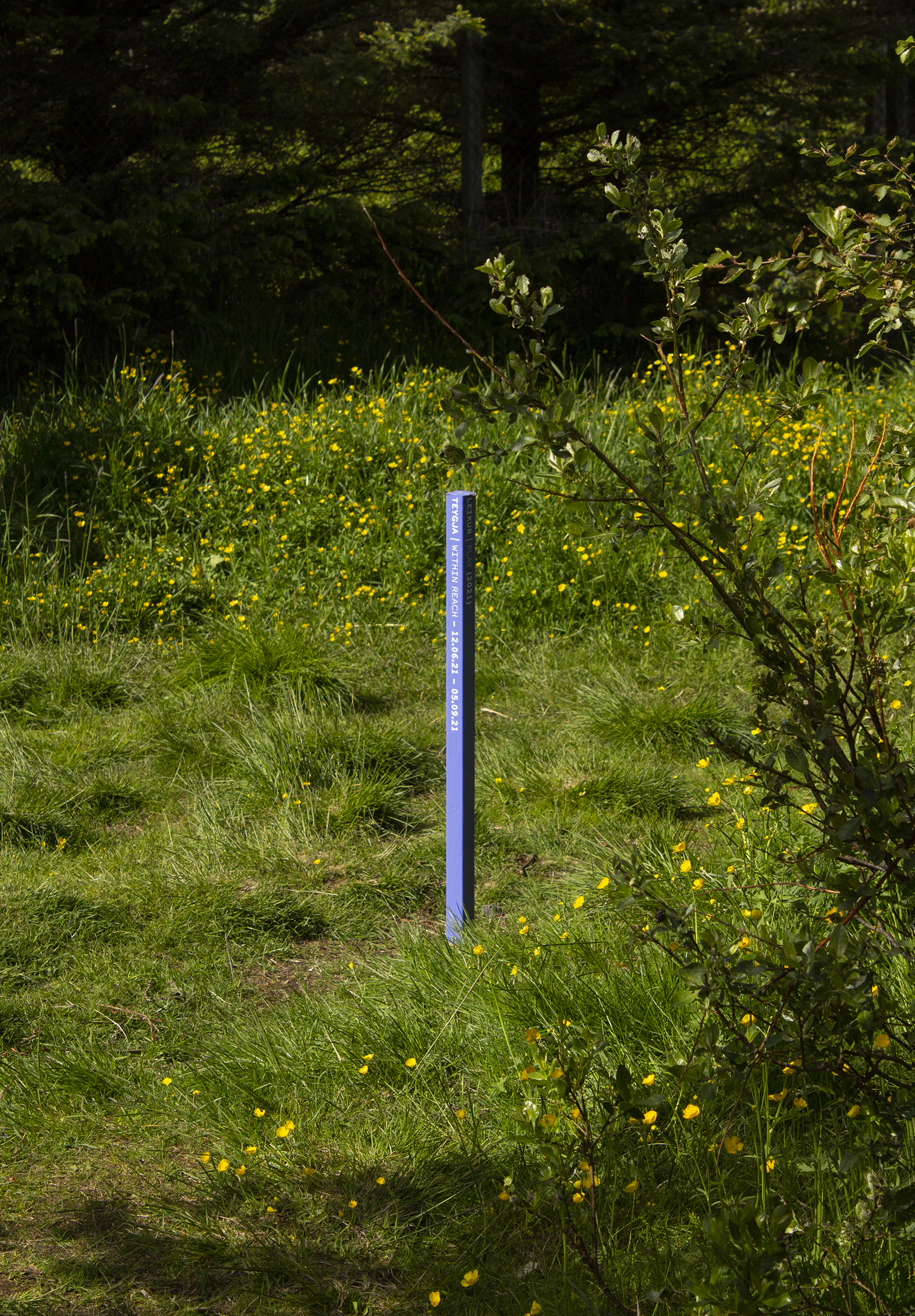 A purple marker post with exhibition information in white vinyl standing in the middle of a lush Icelandic hollow.