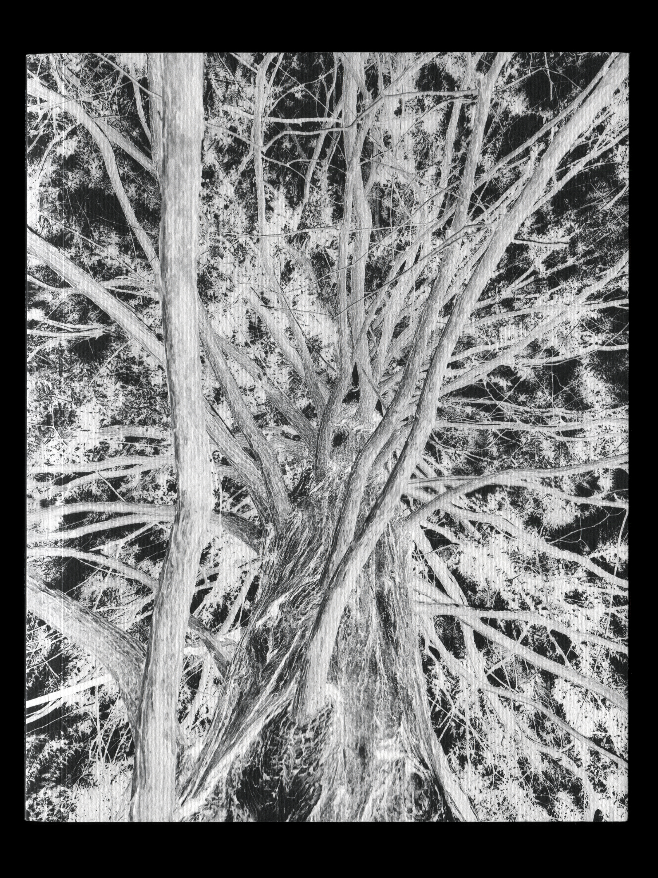 Detail of a book cover that shows textured paper.