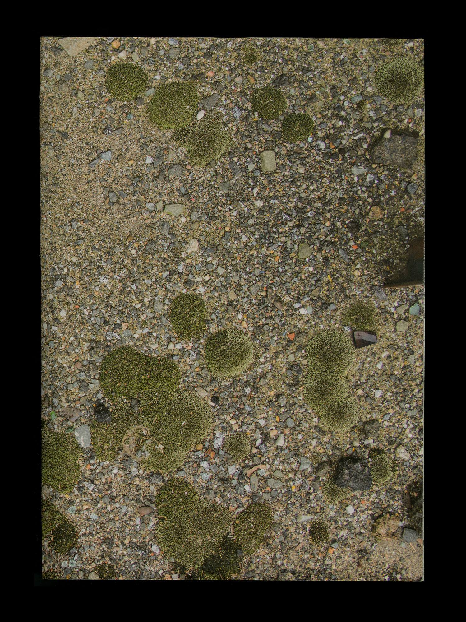 A publication cover lays on a black background. There are no words on the cover, just a close-up image of the ground. Sand, broken glass and green moss.